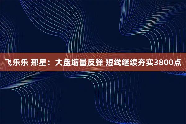 飞乐乐 邢星：大盘缩量反弹 短线继续夯实3800点