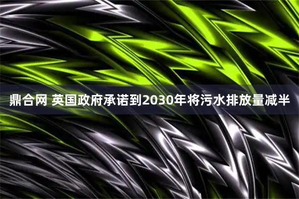 鼎合网 英国政府承诺到2030年将污水排放量减半