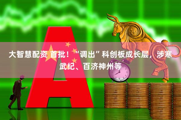 大智慧配资 首批！“调出”科创板成长层，涉寒武纪、百济神州等